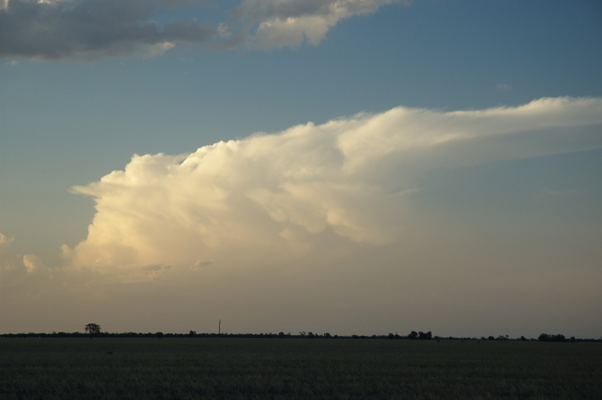 thunderstorm cumulonimbus_incus : Coonamble, NSW   8 December 2007