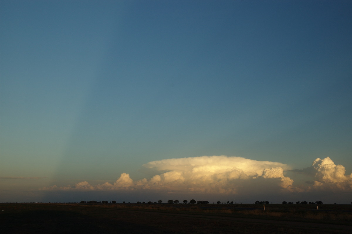 halosundog halo_sundog_crepuscular_rays : Coonamble, NSW   8 December 2007