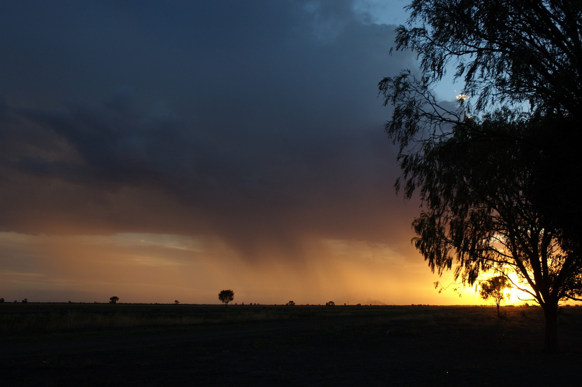 raincascade precipitation_cascade : Coonamble, NSW   8 December 2007