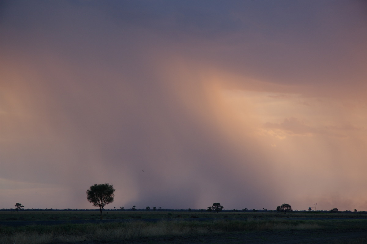 sunset sunset_pictures : Coonamble, NSW   8 December 2007