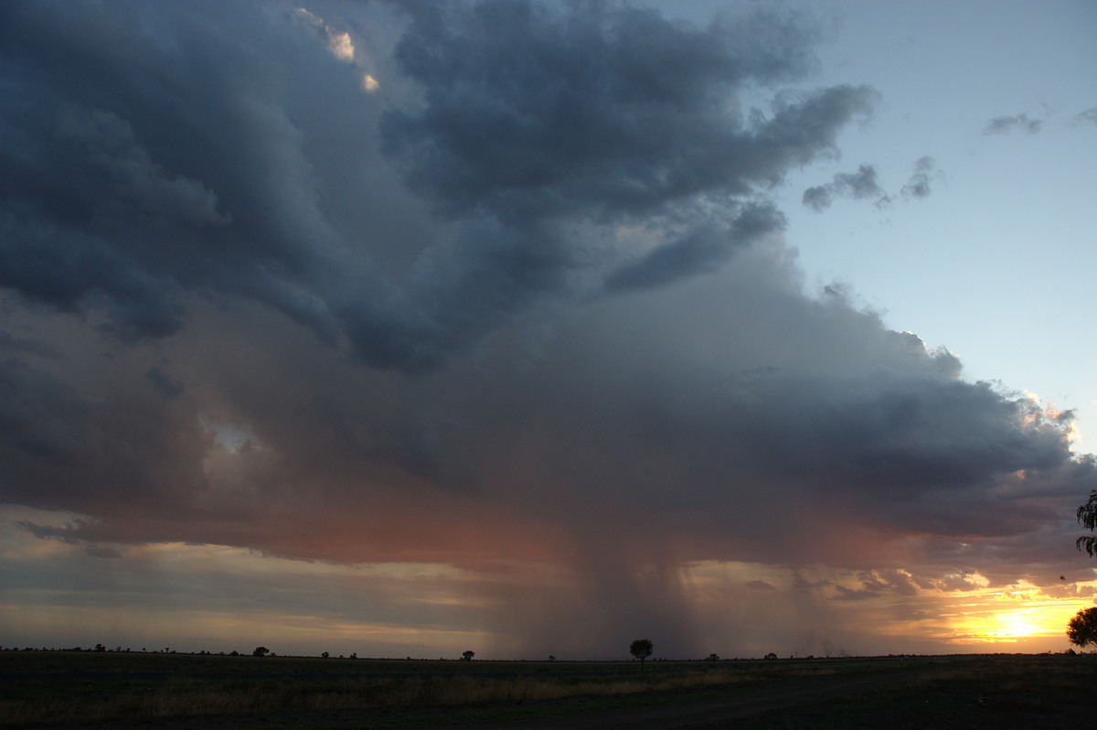 sunset sunset_pictures : Coonamble, NSW   8 December 2007