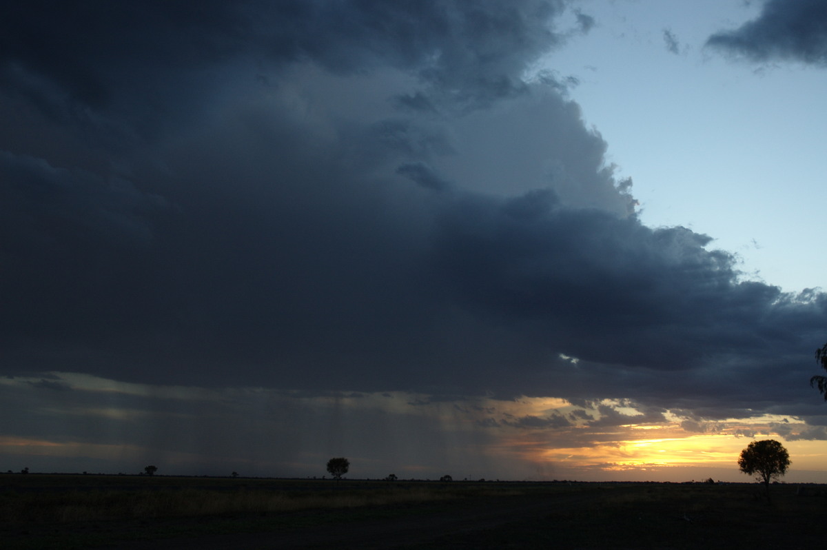 thunderstorm cumulonimbus_calvus : Coonamble, NSW   8 December 2007