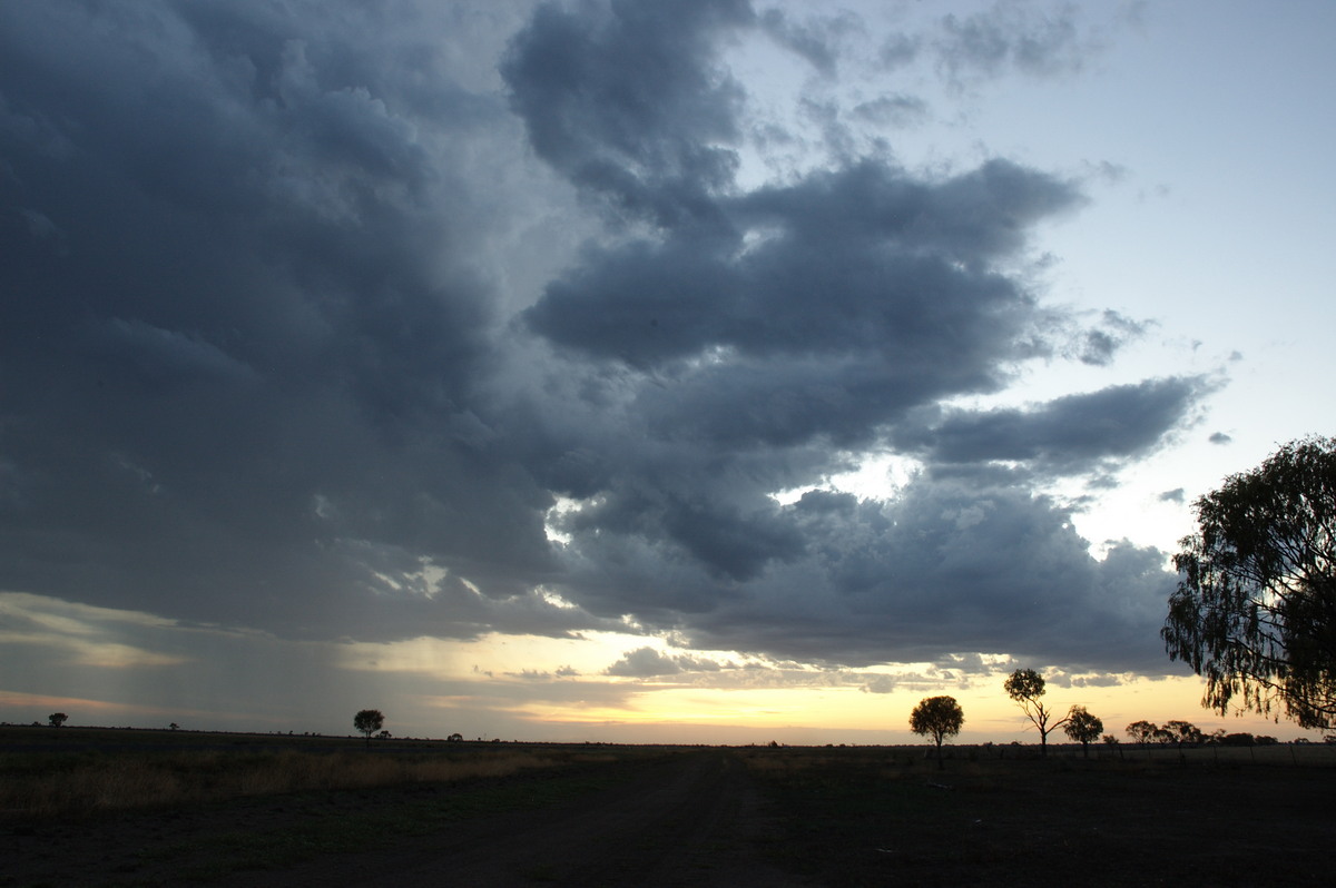 cumulus congestus : Coonamble, NSW   8 December 2007