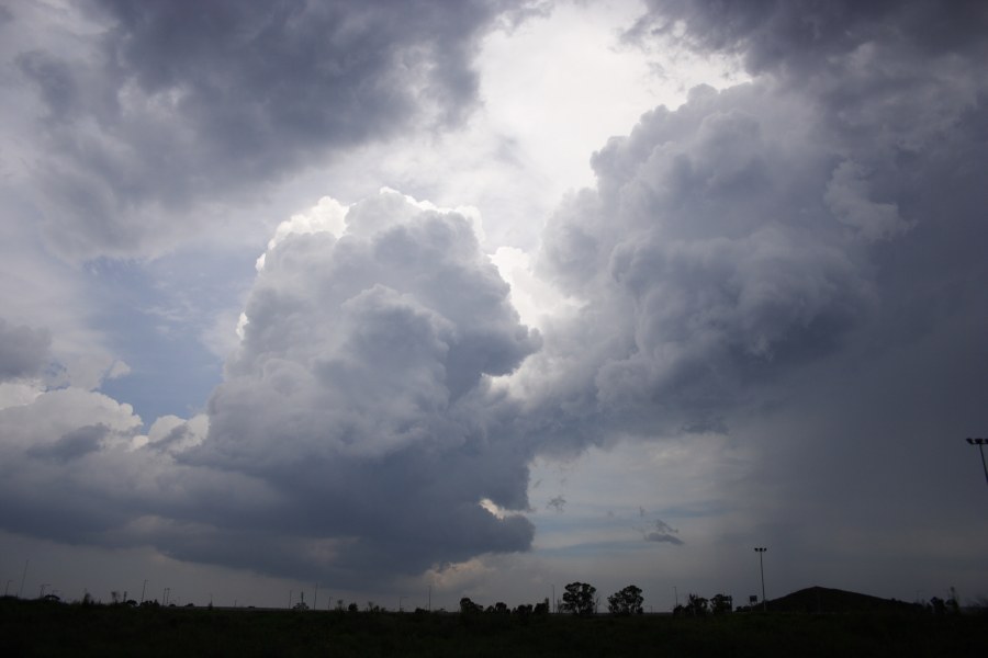 thunderstorm cumulonimbus_calvus : near Cross Roads, NSW   9 December 2007