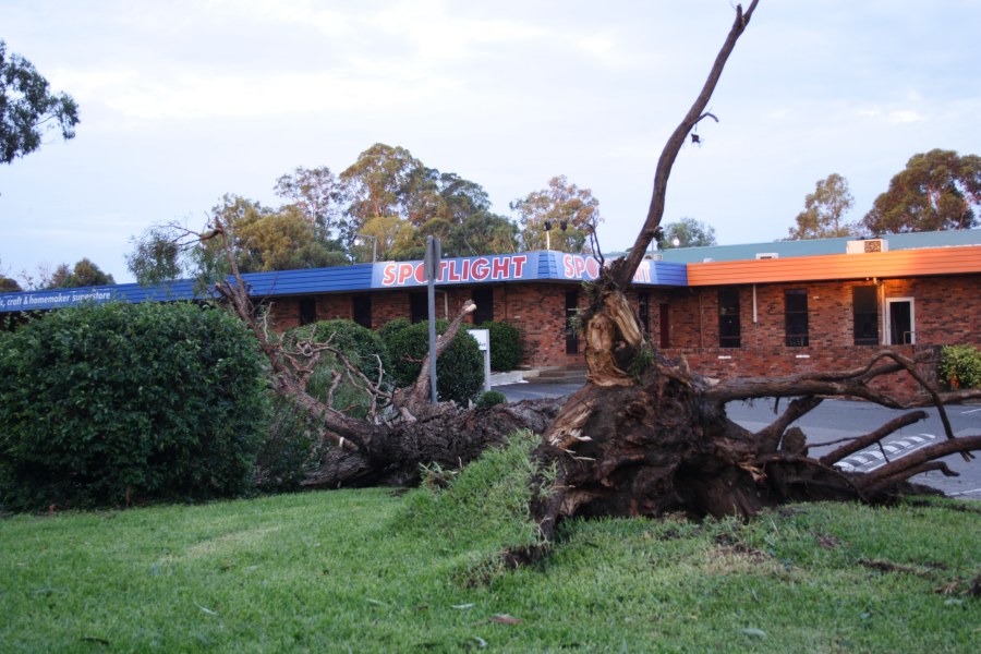 disasters storm_damage : Castle Hill, NSW   9 December 2007