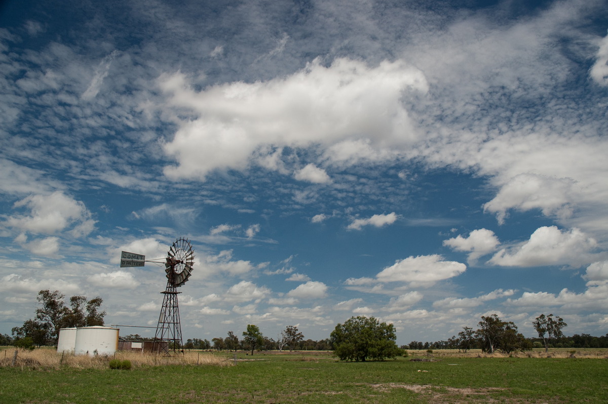 altocumulus altocumulus_cloud : near Belata, NSW   9 December 2007