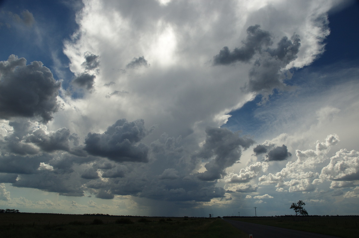 anvil thunderstorm_anvils : W of Goondiwindi, QLD   9 December 2007