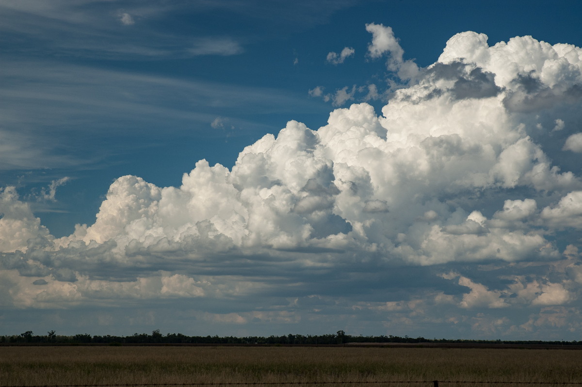 cumulus congestus : W of Goondiwindi, QLD   9 December 2007