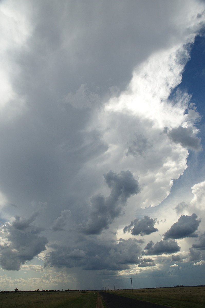 anvil thunderstorm_anvils : W of Goondiwindi, QLD   9 December 2007