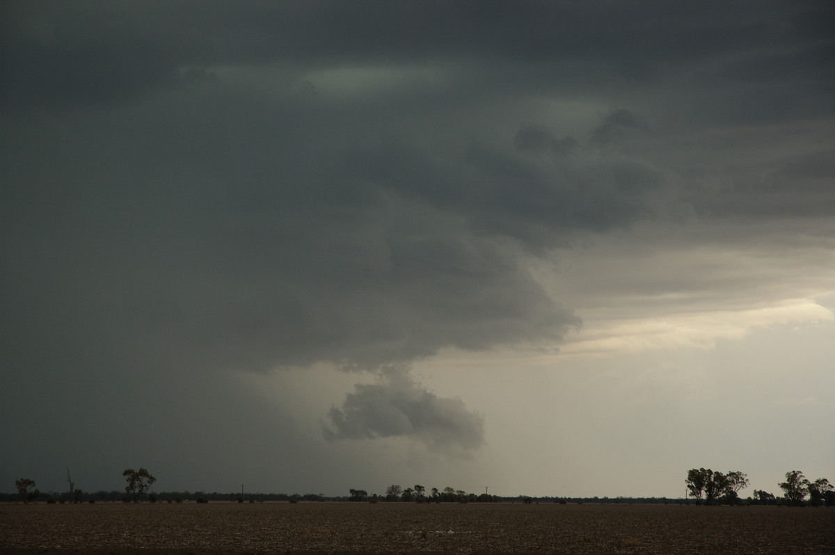 microburst micro_burst : near Boomi, NSW   9 December 2007