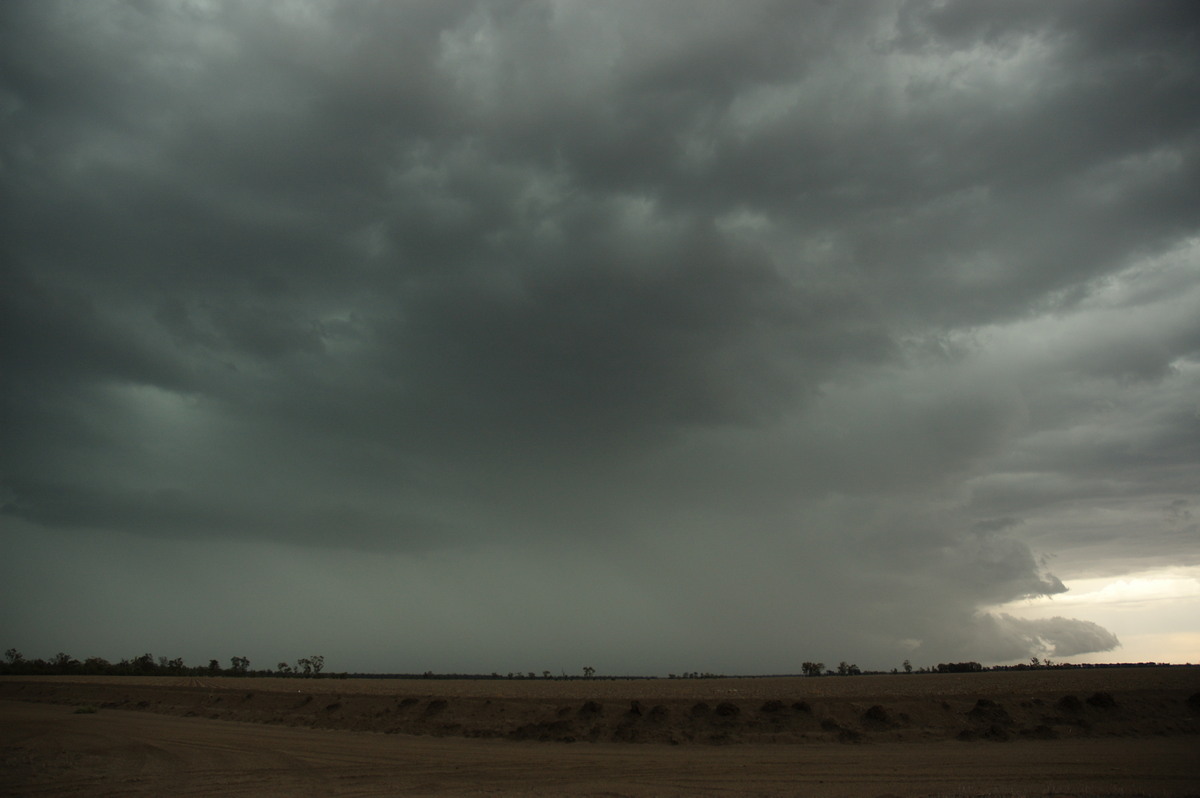 cumulonimbus thunderstorm_base : near Boomi, NSW   9 December 2007