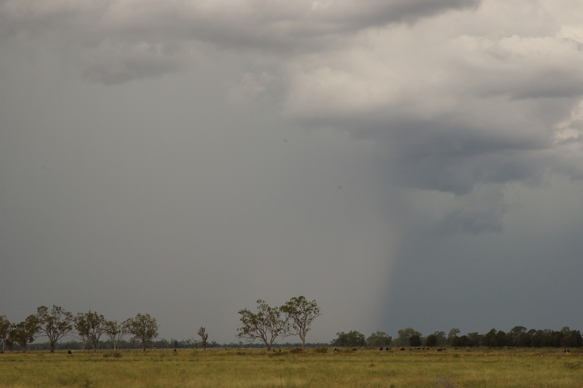 raincascade precipitation_cascade : near Goondiwindi, QLD   9 December 2007