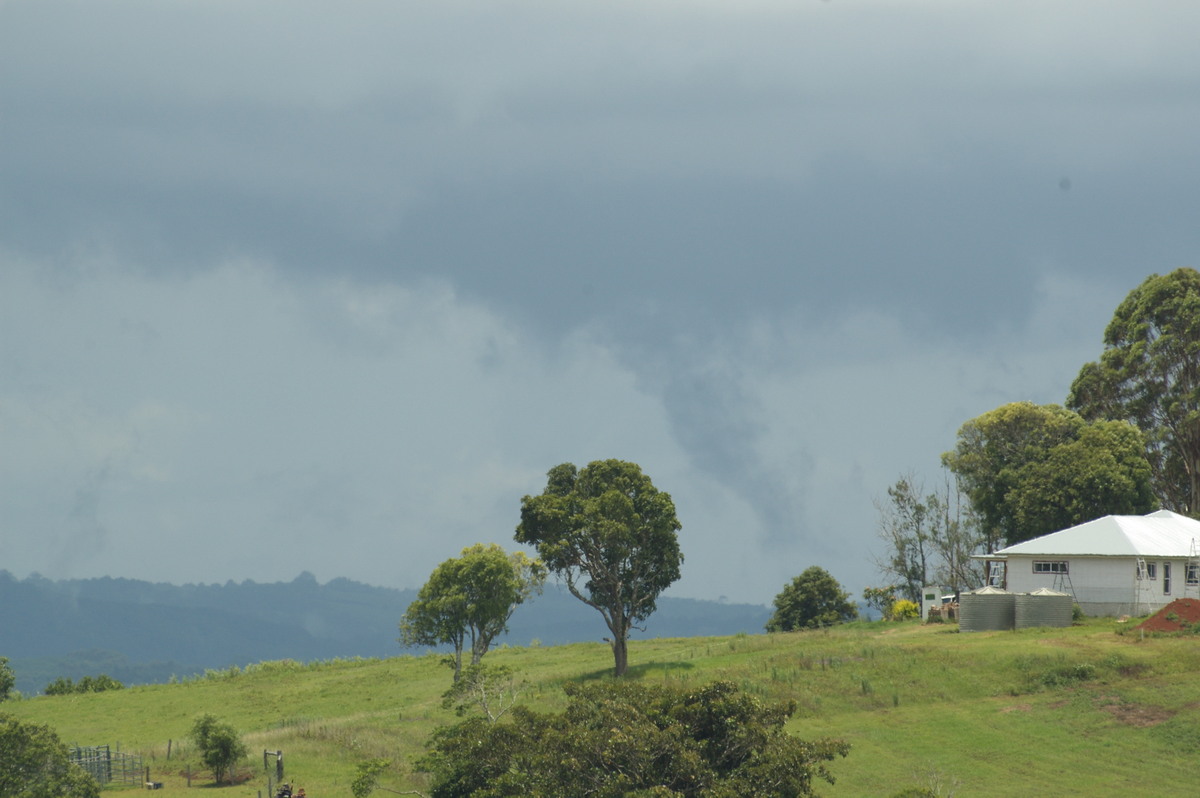 stratus stratus_cloud : McLeans Ridges, NSW   12 December 2007