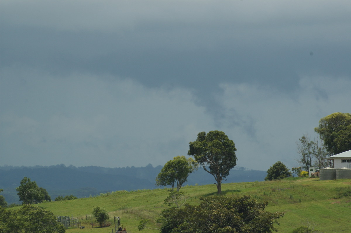 stratus stratus_cloud : McLeans Ridges, NSW   12 December 2007