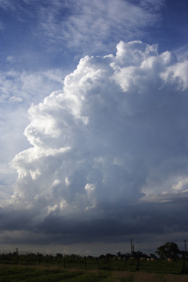 updraft thunderstorm_updrafts : Schofields, NSW   27 December 2007