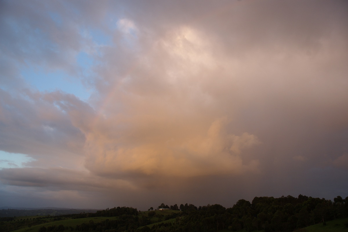 cumulus congestus : McLeans Ridges, NSW   29 December 2007