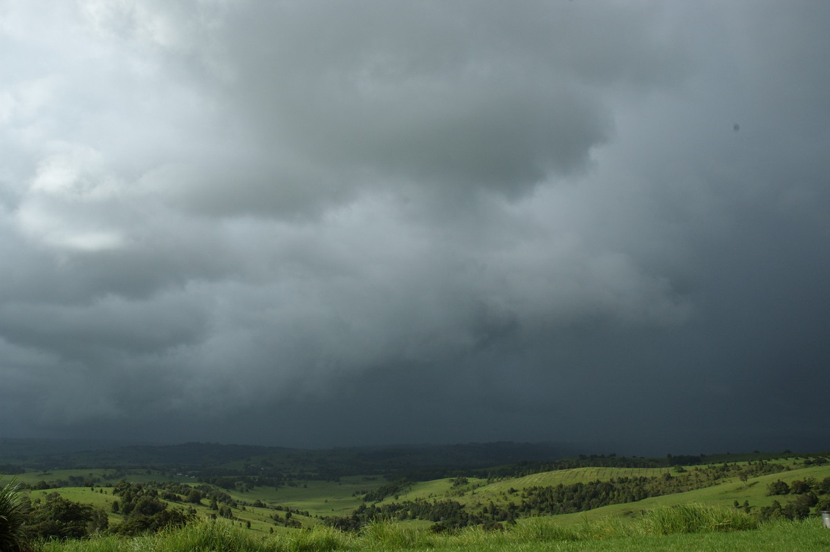 raincascade precipitation_cascade : McLeans Ridges, NSW   1 January 2008