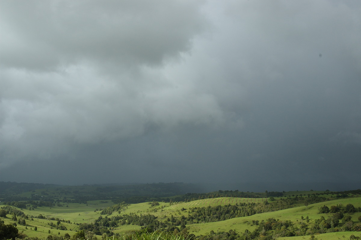 stratocumulus stratocumulus_cloud : McLeans Ridges, NSW   1 January 2008