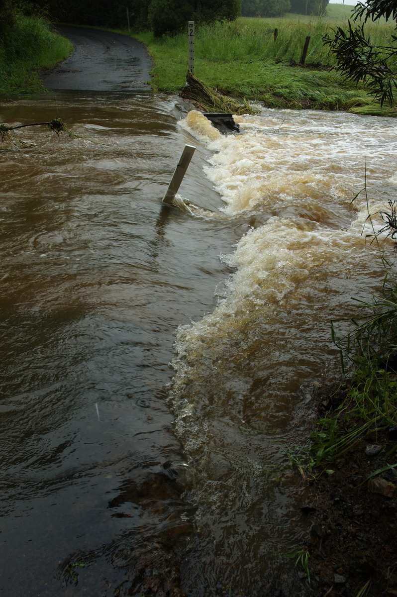 flashflooding flood_pictures : Booyong, NSW   4 January 2008