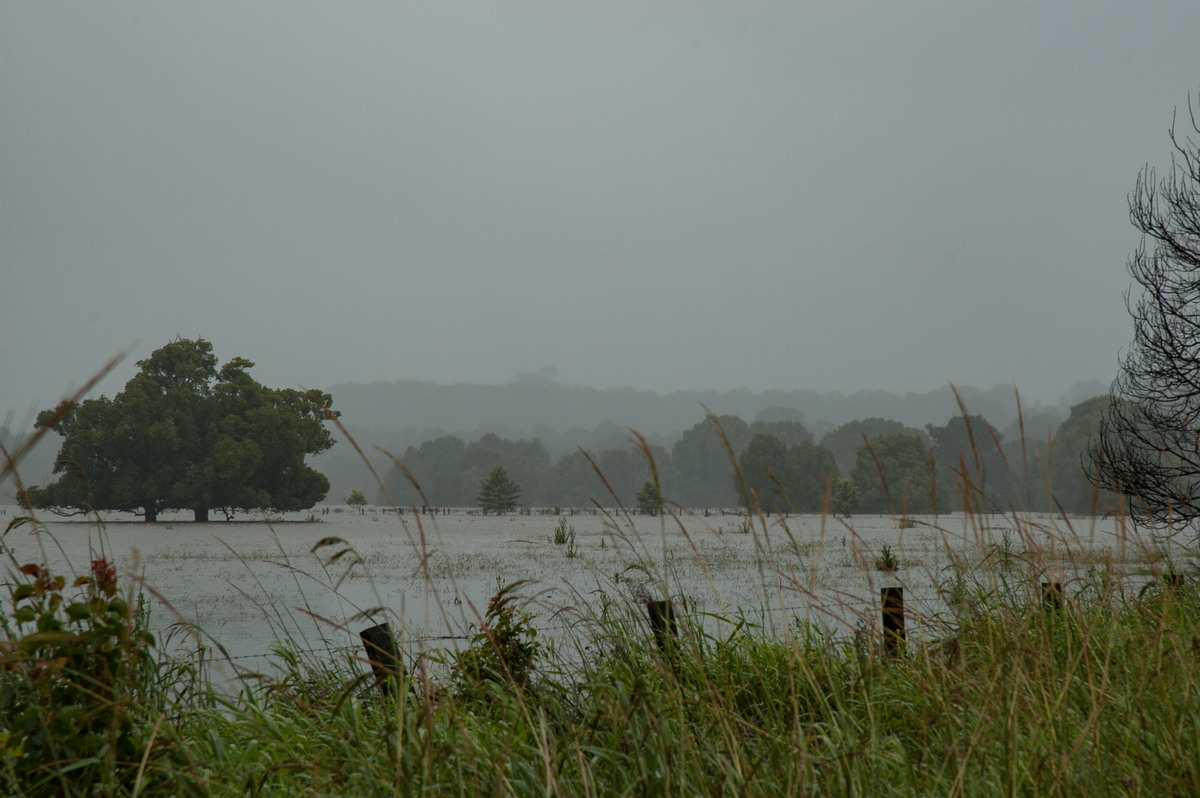 flashflooding flood_pictures : Eltham, NSW   4 January 2008