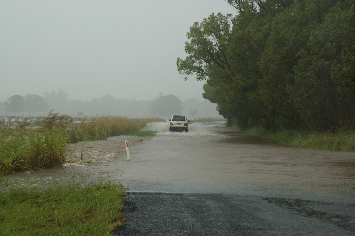 flashflooding flood_pictures : Eltham, NSW   4 January 2008