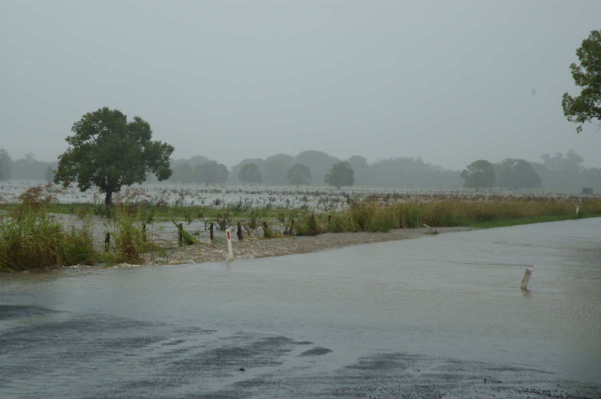 flashflooding flood_pictures : Eltham, NSW   4 January 2008