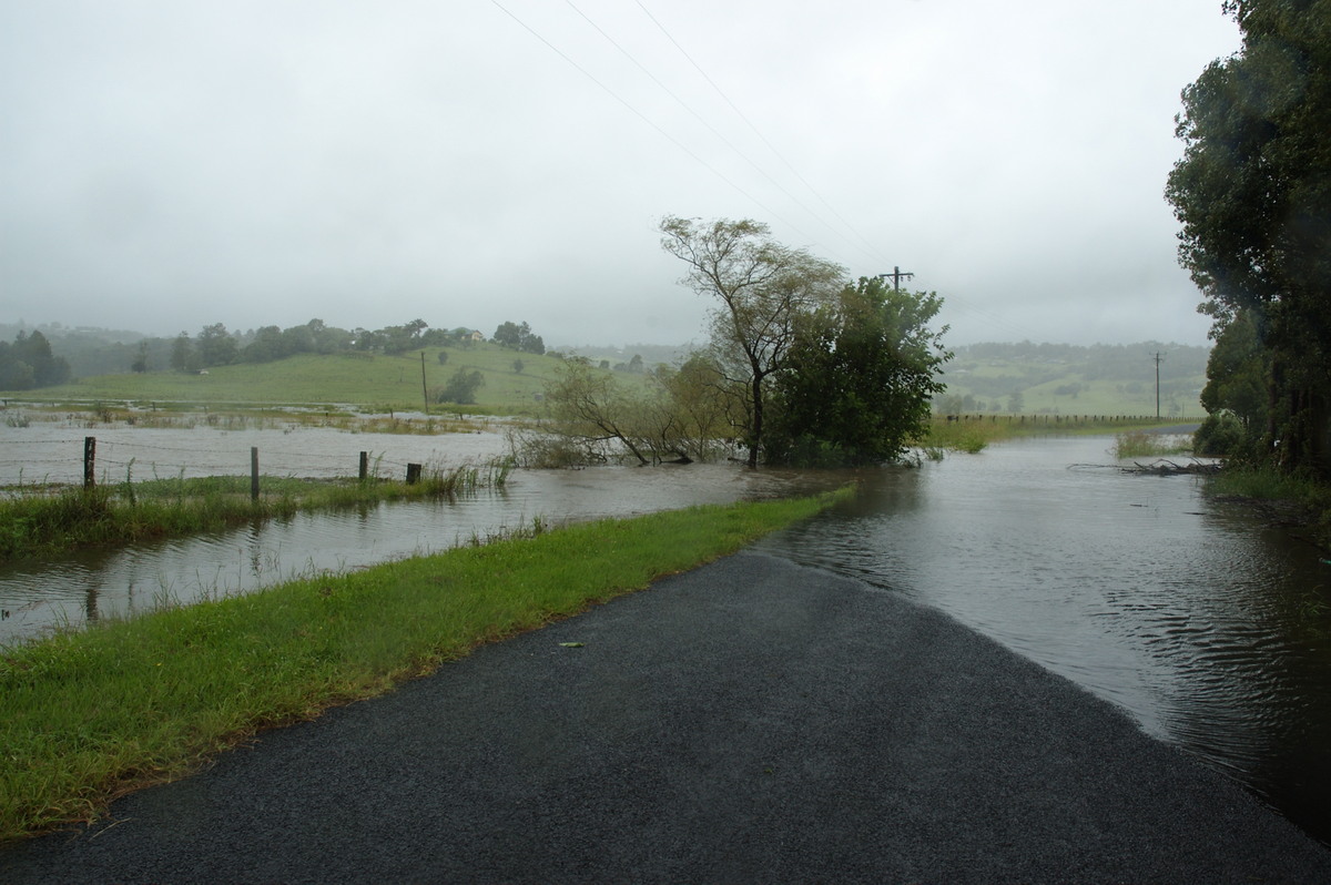 flashflooding flood_pictures : Eltham, NSW   4 January 2008