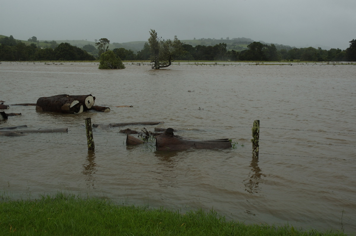 flashflooding flood_pictures : Eltham, NSW   4 January 2008