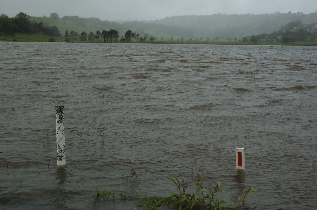 flashflooding flood_pictures : near Lismore, NSW   4 January 2008