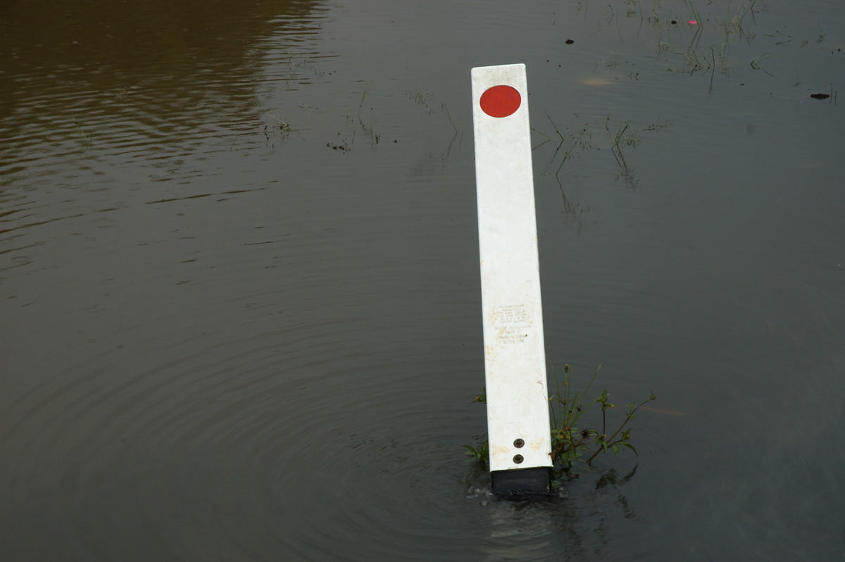 flashflooding flood_pictures : Lismore, NSW   4 January 2008