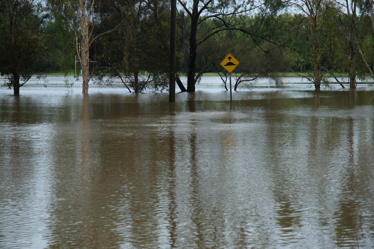 flashflooding flood_pictures : Lismore, NSW   4 January 2008