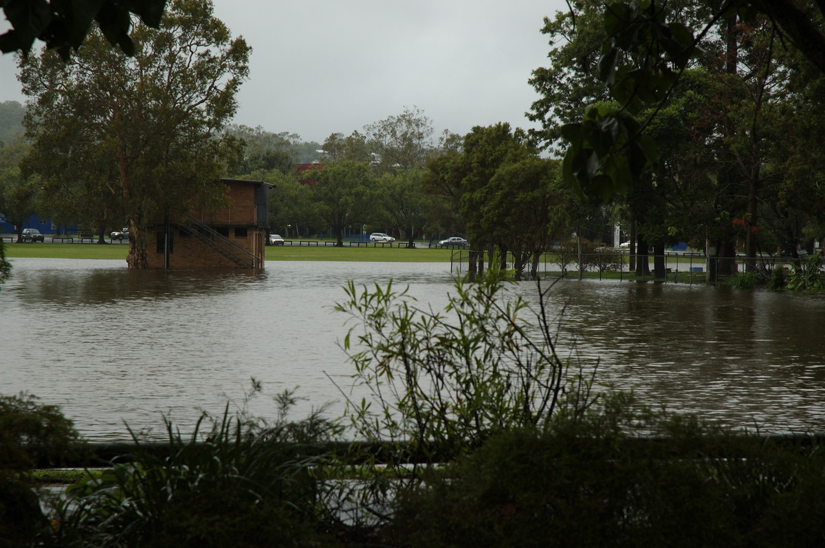 flashflooding flood_pictures : Lismore, NSW   4 January 2008