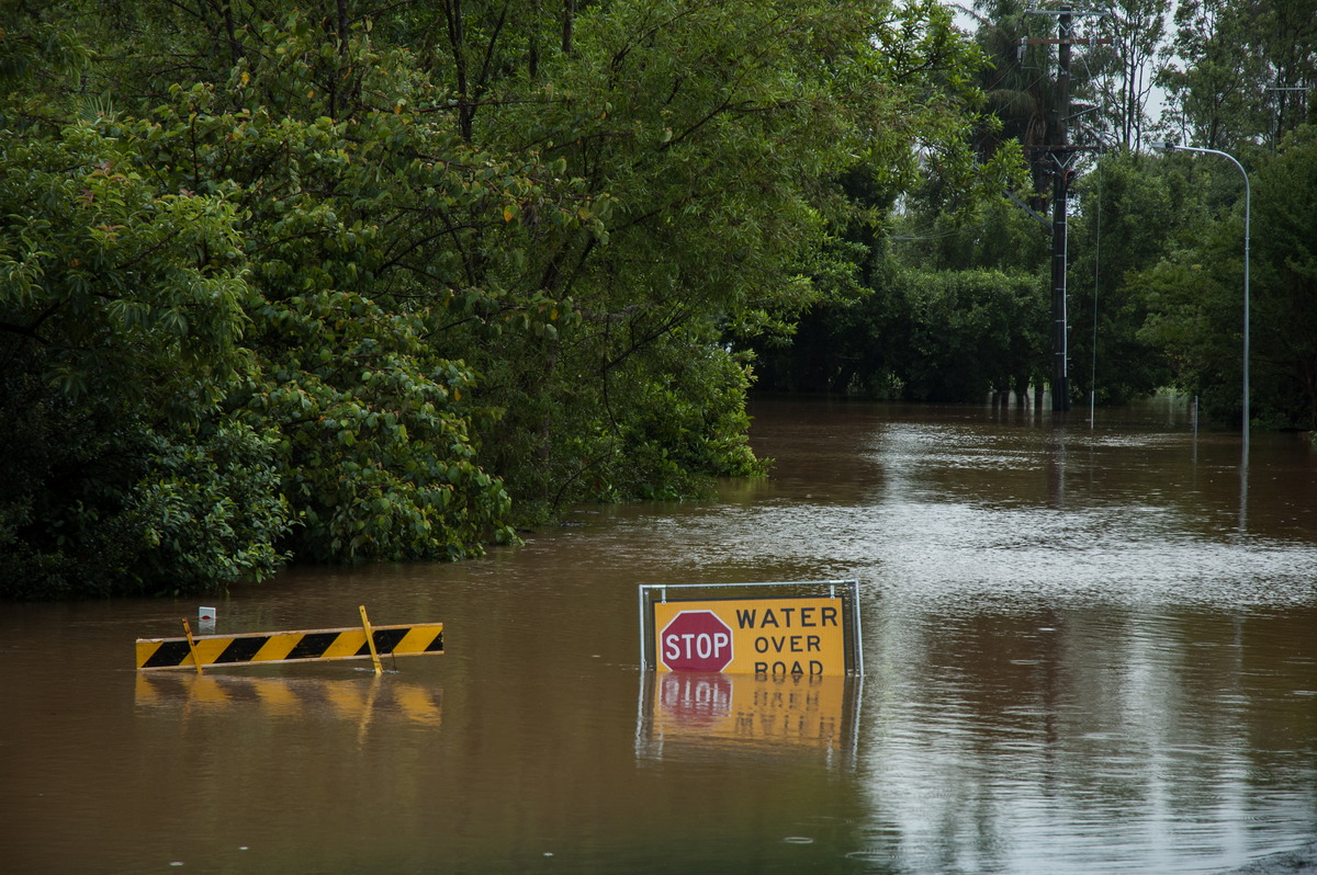 flashflooding flood_pictures : Lismore, NSW   4 January 2008