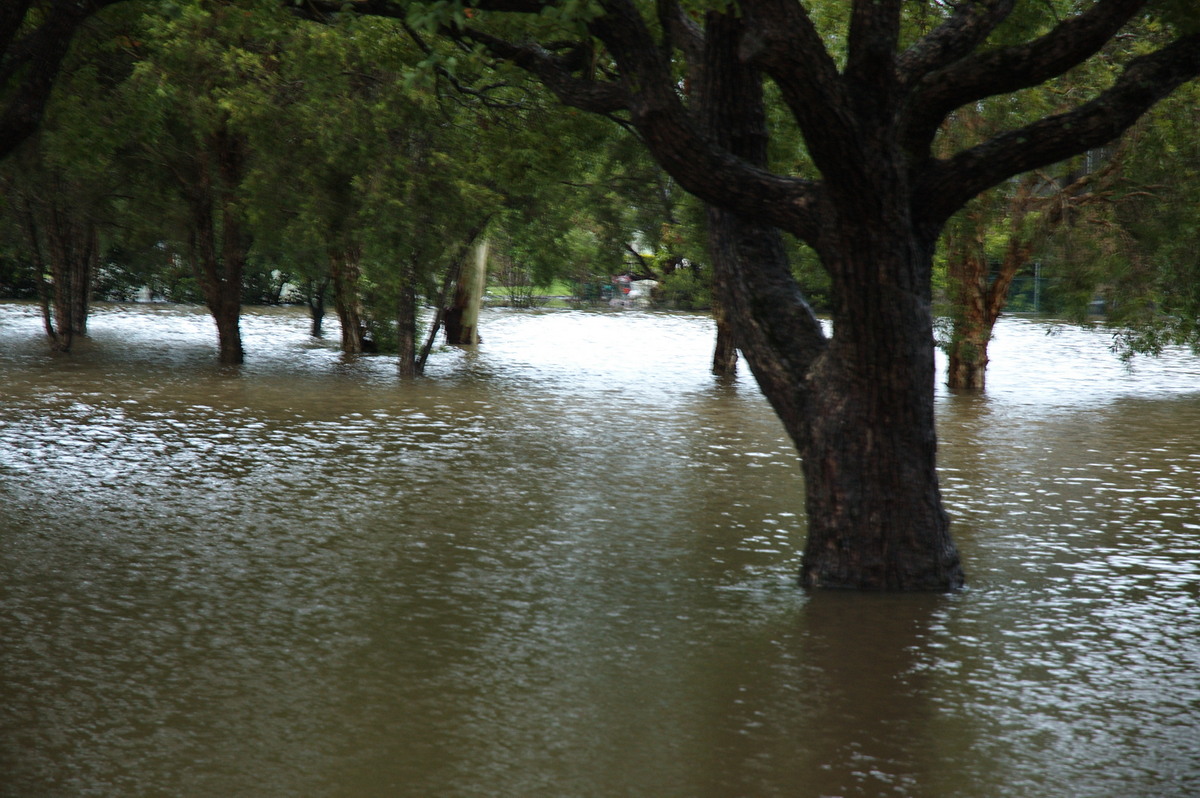 flashflooding flood_pictures : Lismore, NSW   4 January 2008