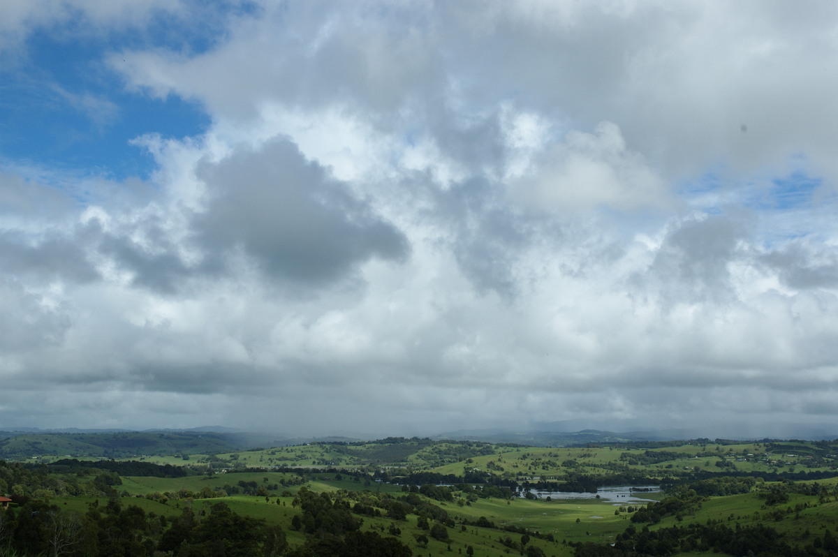 cumulus congestus : McLeans Ridges, NSW   5 January 2008