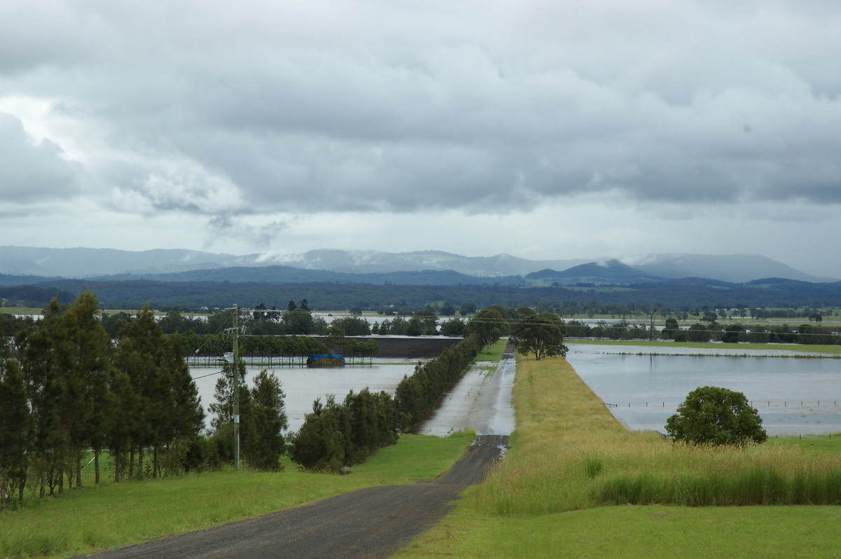 flashflooding flood_pictures : N of Casino, NSW   5 January 2008