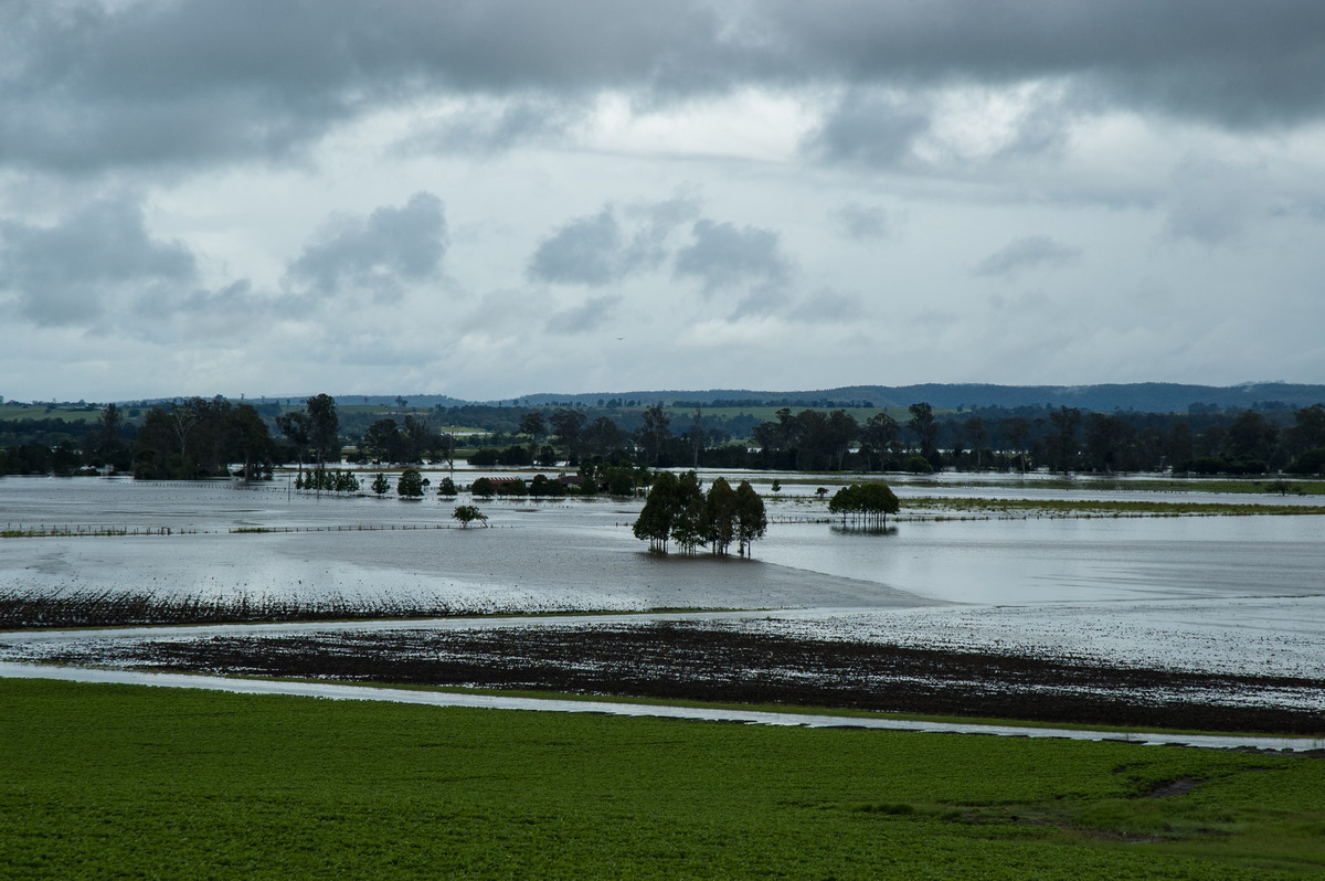 flashflooding flood_pictures : N of Casino, NSW   5 January 2008