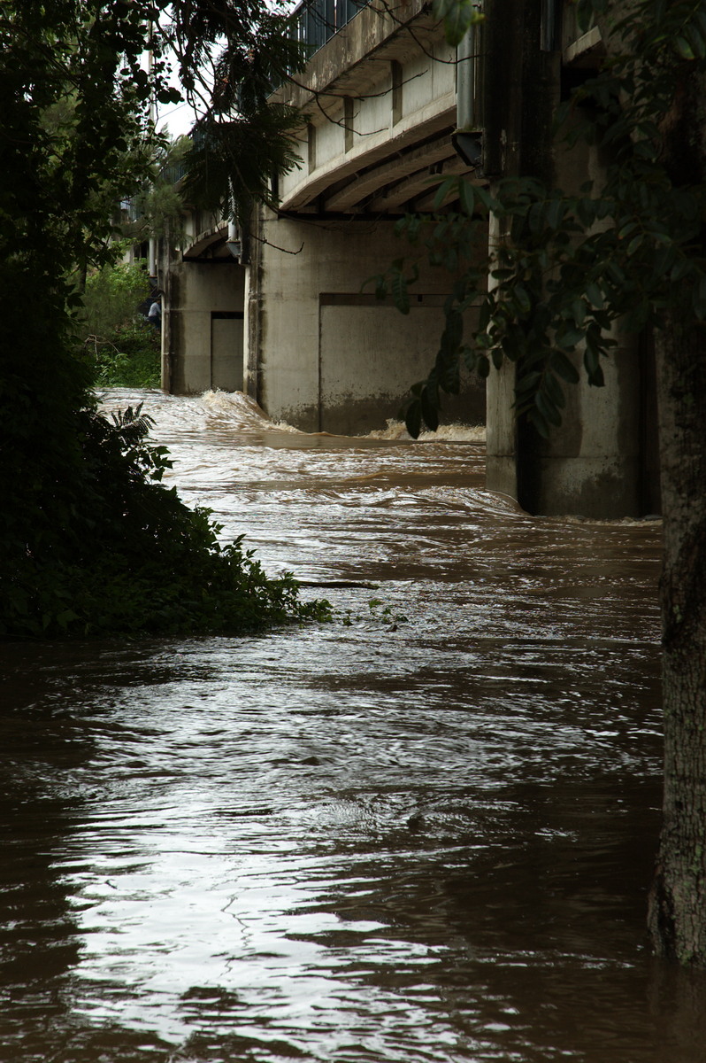 flashflooding flood_pictures : Casino, NSW   5 January 2008