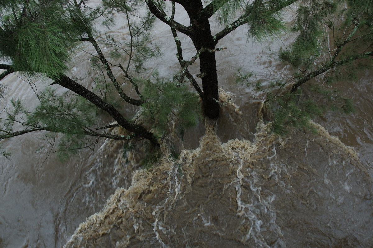 flashflooding flood_pictures : Casino, NSW   5 January 2008