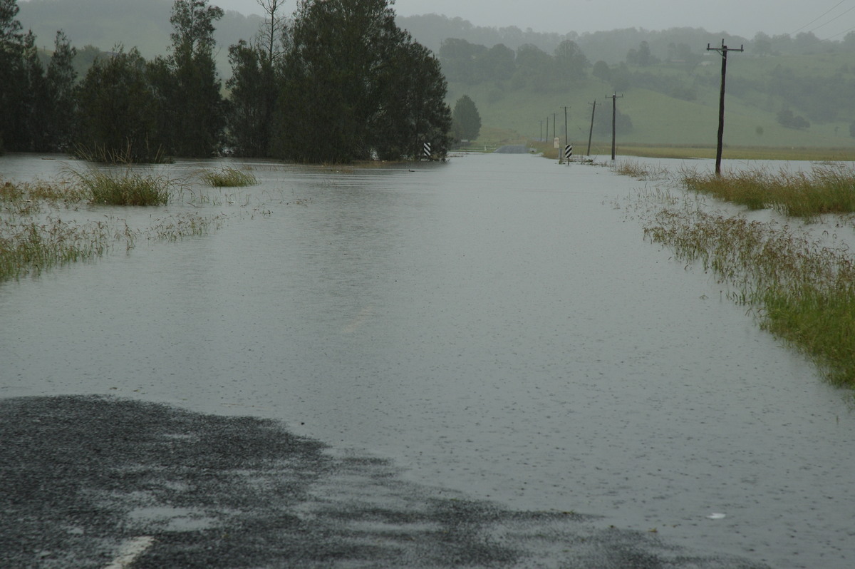 precipitation precipitation_rain : South Lismore, NSW   5 January 2008