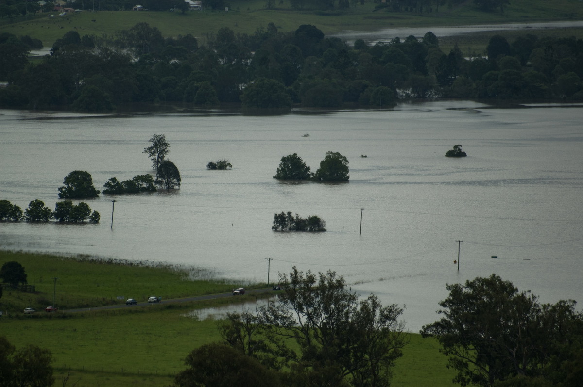 flashflooding flood_pictures : Kyogle, NSW   5 January 2008