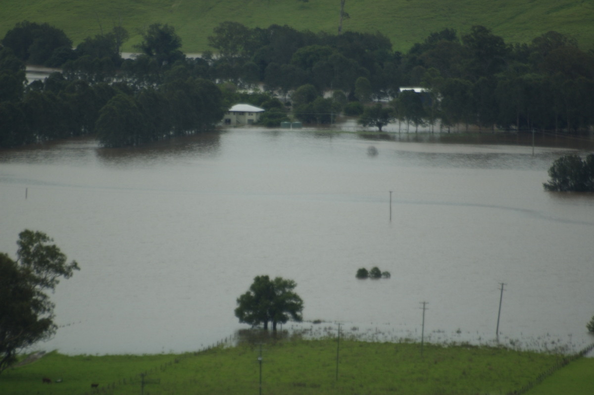 flashflooding flood_pictures : Kyogle, NSW   5 January 2008