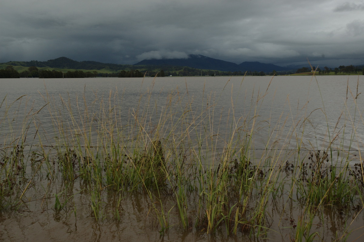 flashflooding flood_pictures : Kyogle, NSW   5 January 2008