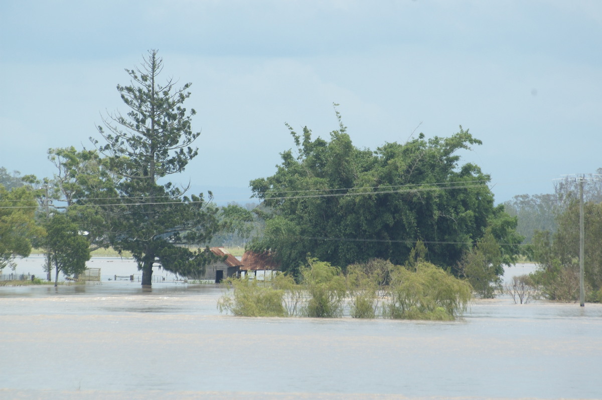 flashflooding flood_pictures : McKees Hill, NSW   6 January 2008