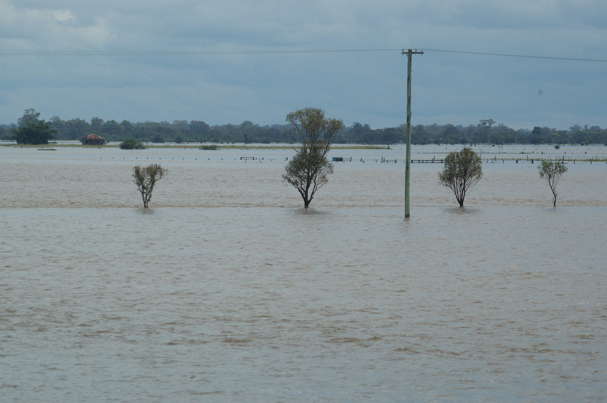 flashflooding flood_pictures : McKees Hill, NSW   6 January 2008