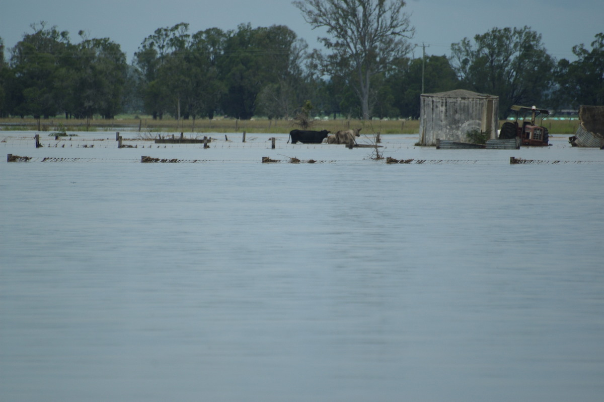 flashflooding flood_pictures : McKees Hill, NSW   6 January 2008