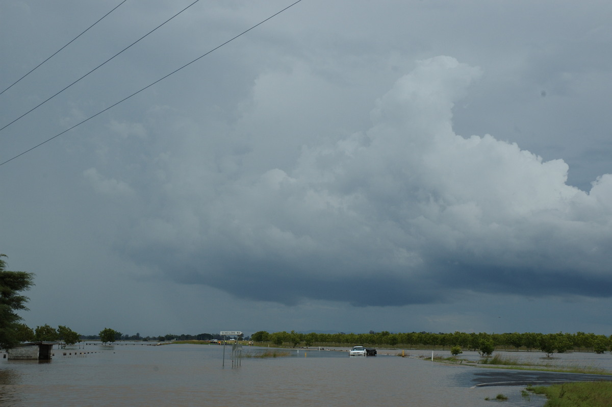 flashflooding flood_pictures : Clovass, NSW   6 January 2008