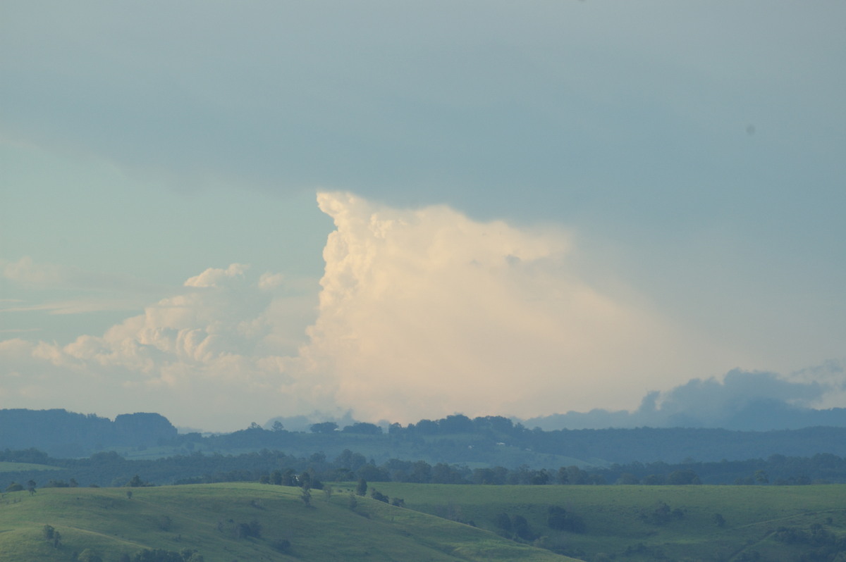 updraft thunderstorm_updrafts : McLeans Ridges, NSW   6 January 2008