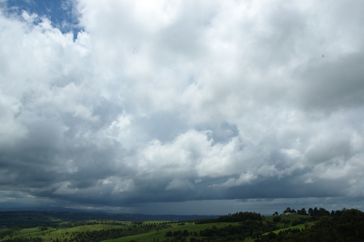 cumulus mediocris : McLeans Ridges, NSW   7 January 2008