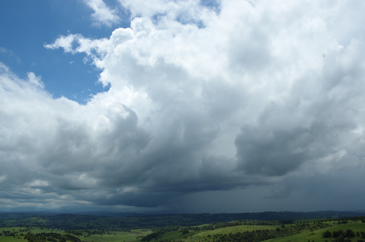 cumulus congestus : McLeans Ridges, NSW   7 January 2008